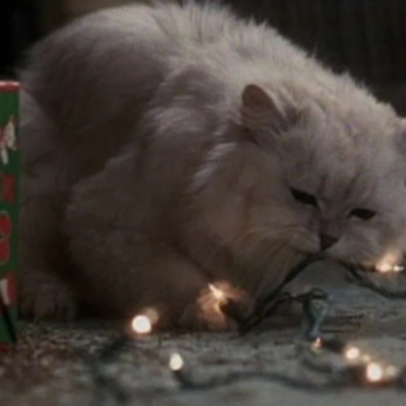 puffed up cat rug - Funny Christmas Gift