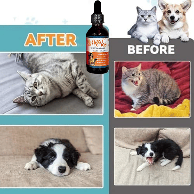 Puppy Yeast Relief Agent