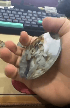 Holy Family Faith Christmas Ornament