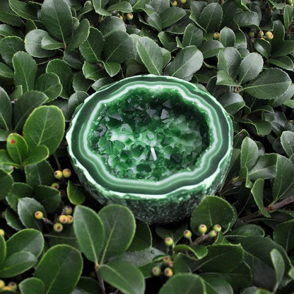 🎁The Best Christmas Gift - Intention/Healing Energy Candle