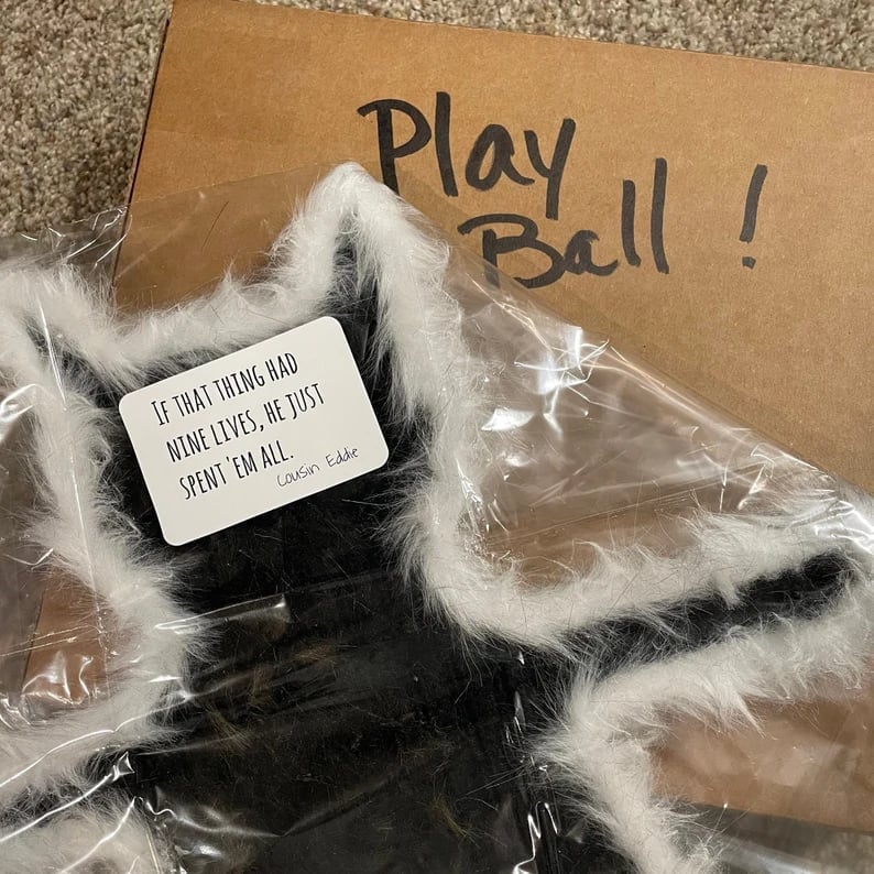 puffed up cat rug - Funny Christmas Gift