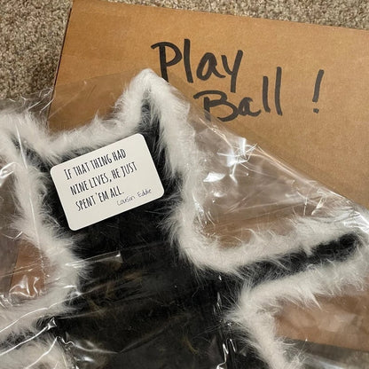 puffed up cat rug - Funny Christmas Gift